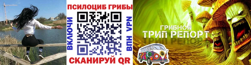 hydra как войти  Кизилюрт  Галлюциногенные грибы GOLDEN TEACHER 